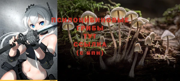 мяу мяу кристалл Арсеньев