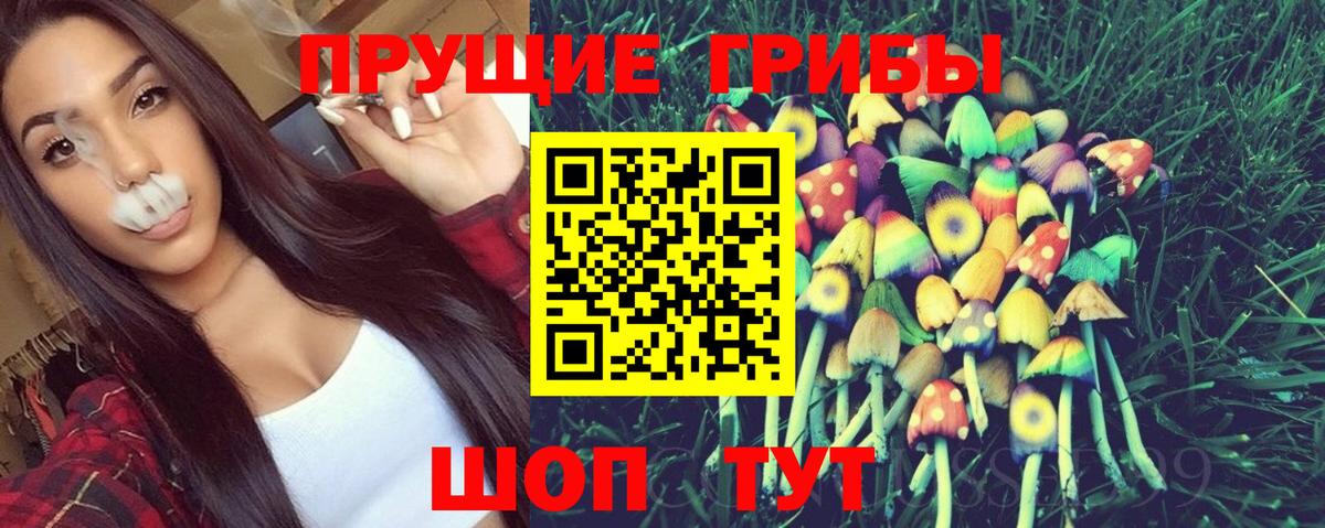 Псилоцибиновые грибы Psilocybine cubensis  Баксан 