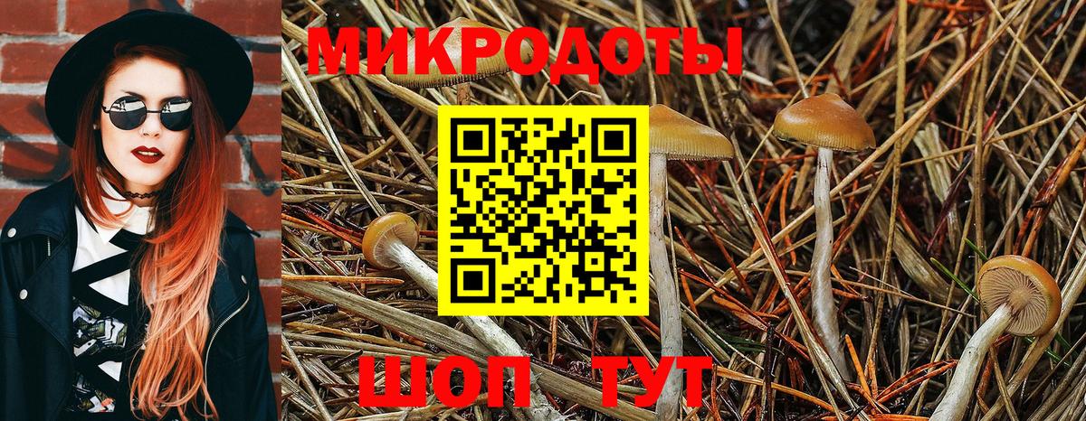 Галлюциногенные грибы прущие грибы Баксан